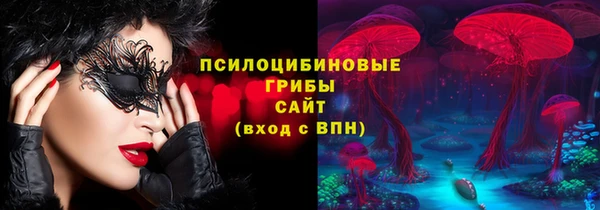 твердый Аркадак