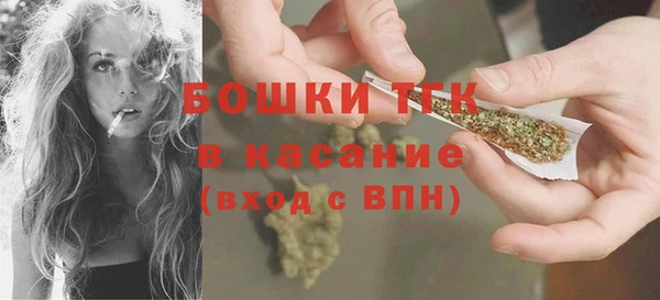 твердый Аркадак