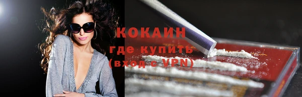 твердый Аркадак