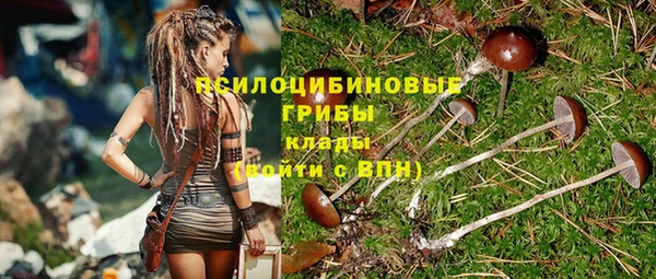 твердый Аркадак