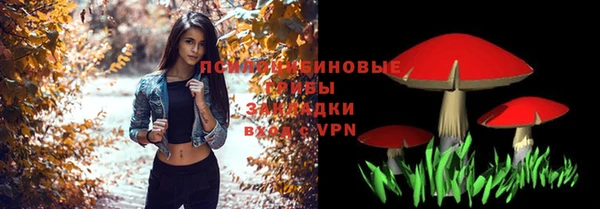 твердый Аркадак